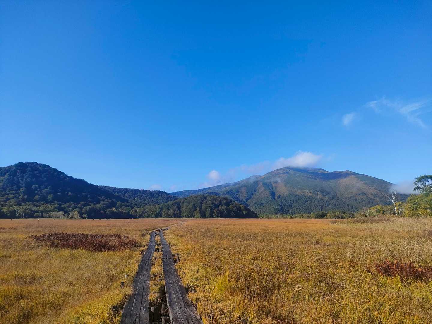 あの山に行きます😁