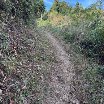 明王峠→景信山→人が多いので小仏は巻道で！