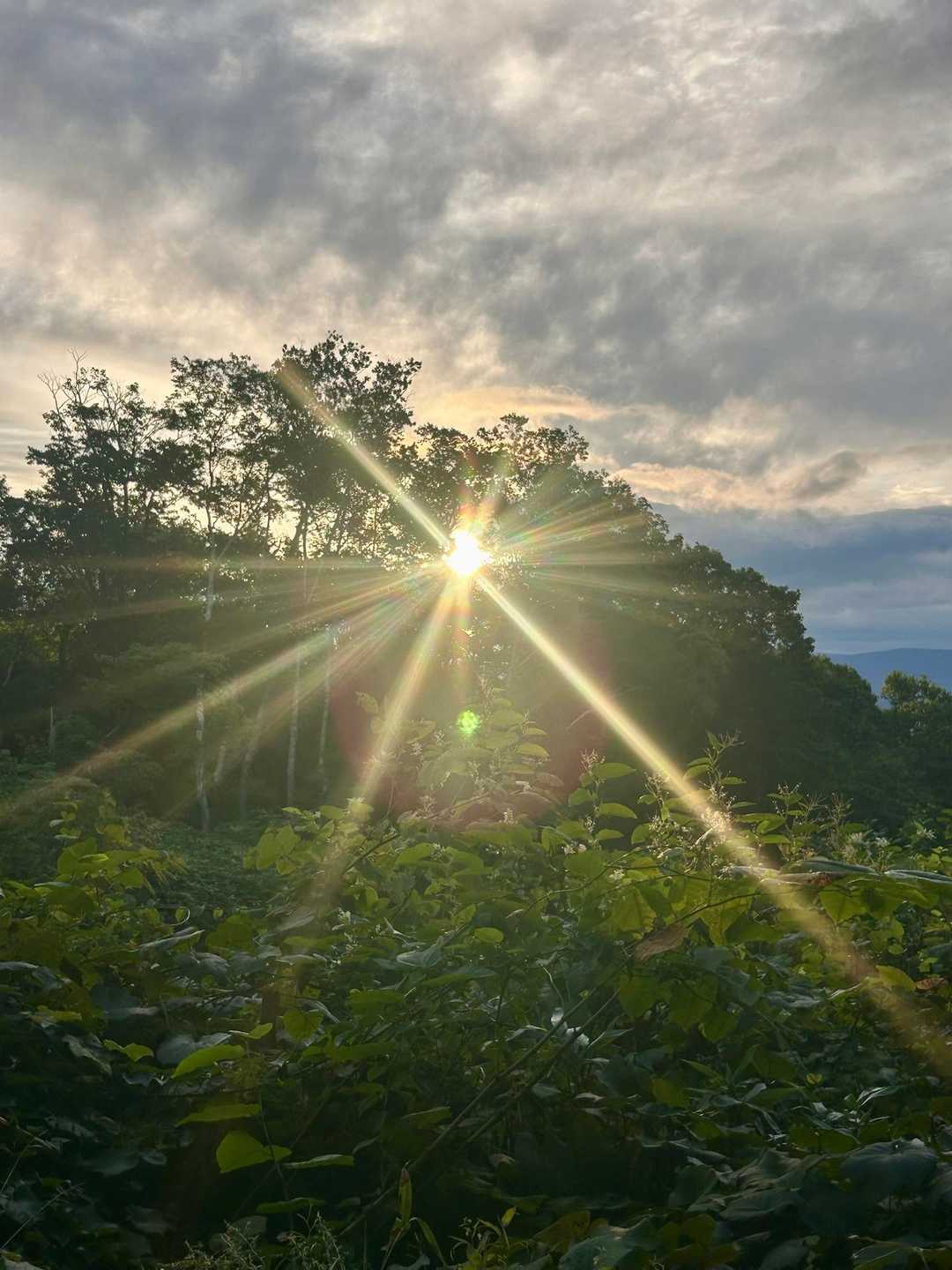 ☀️