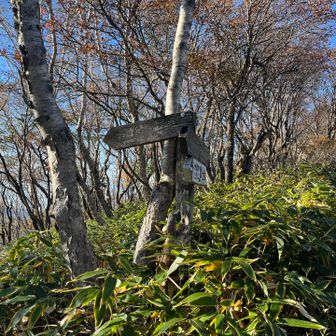 黒檜山登山口へ下山する