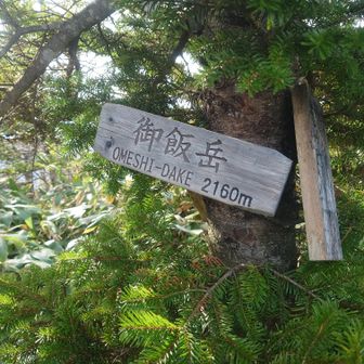 御飯岳山頂、景色なし