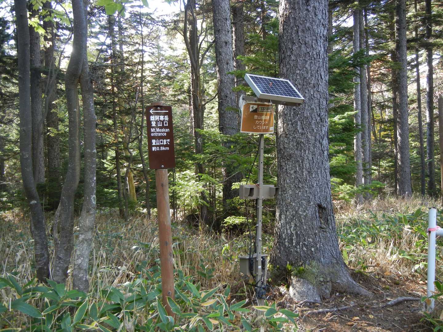 無事に登山口到着
ありがとうございました。