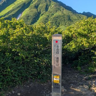 長官山まで来ると本体の山頂が見える。そんなに遠くなく見えたが、登ってもなかなか距離感が変わらない