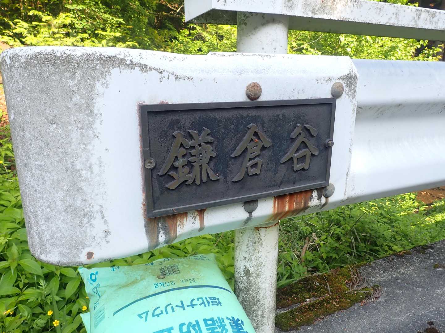 鎌倉谷を遡行し､鎌倉山と千年杉 見に行きます👀