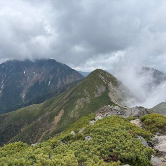 復路は超えてきた百高山を登り返す😂