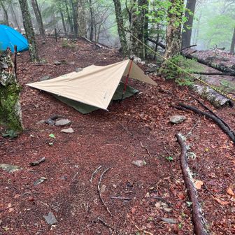 富士見平小屋、今夜はここを寝床とする。
夜は南南東から風が吹くようなので予報に合わせて南側を下ろす形で立ち上げ。実際は東風が横から吹いてきてそこそこ寒かった。山風の吹き下ろしか、反省点が残るタープ泊だった。山岳テント買おうかな。