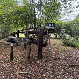 勘行峰山頂。
リバウェル井川からここまでフレッシュなクマさんの💩が２つあり😱