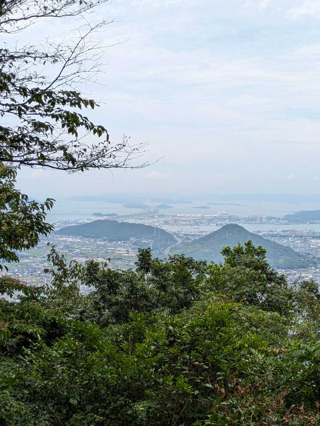 飯山町登山口-飯野山 往復コースの写真