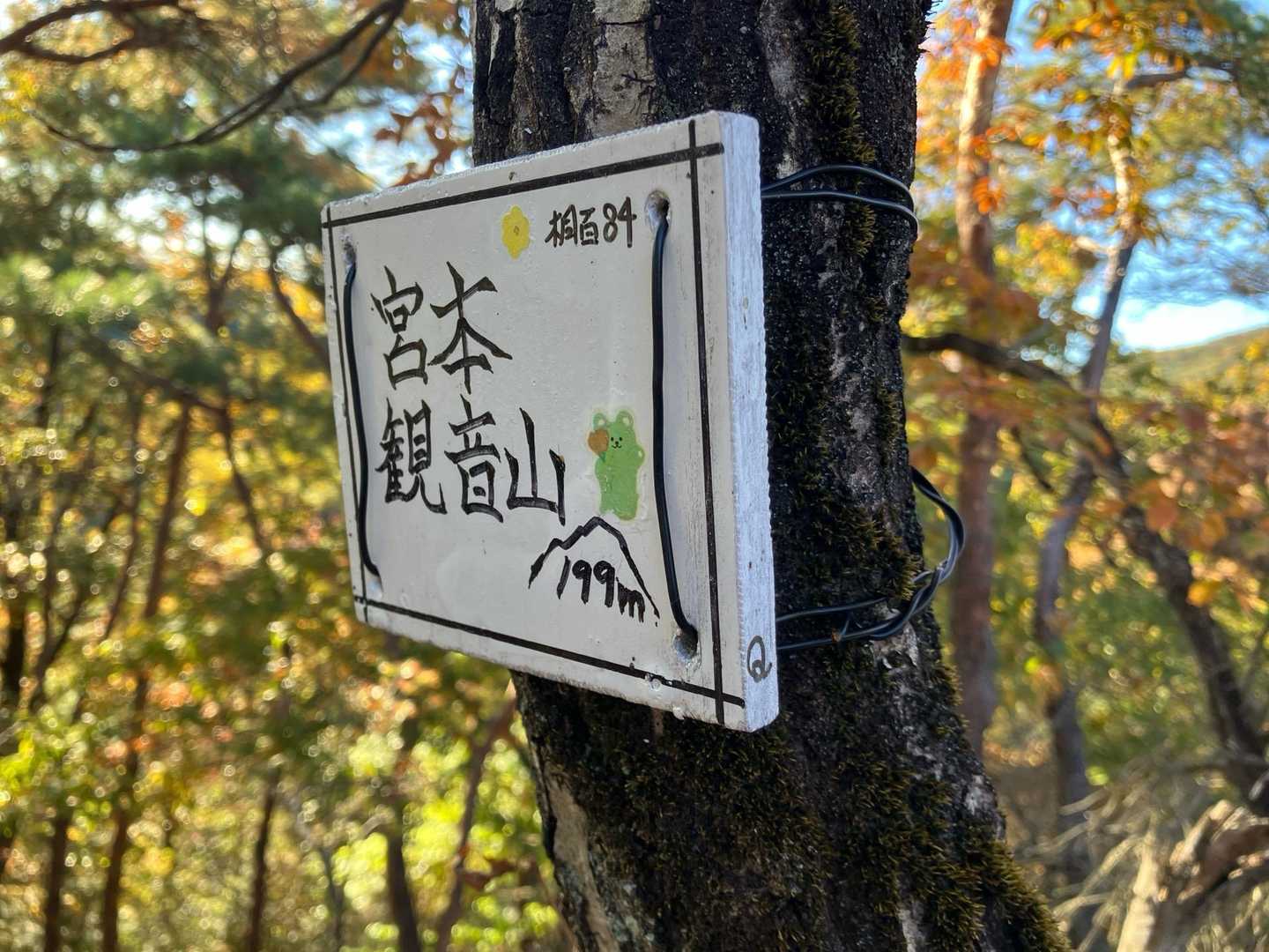 宮本観音山🙌
YAMAPピーク認定されたら良いな😊
桐百なのね( ..)φｶｷｶｷ

看板🪧Q👍