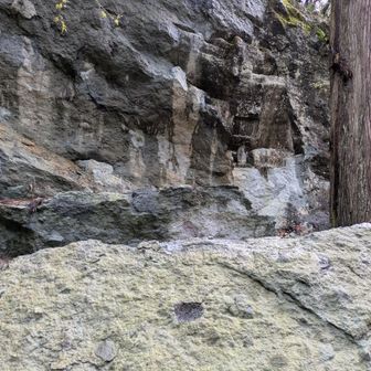 数年ぶりで驚いたのは石仏がたくさんあった場所が崩壊していて立入禁止になっていたこと　ここの岩も足羽山のような薄緑っぽい凝灰岩のよう？（違っているかもしれませんが）