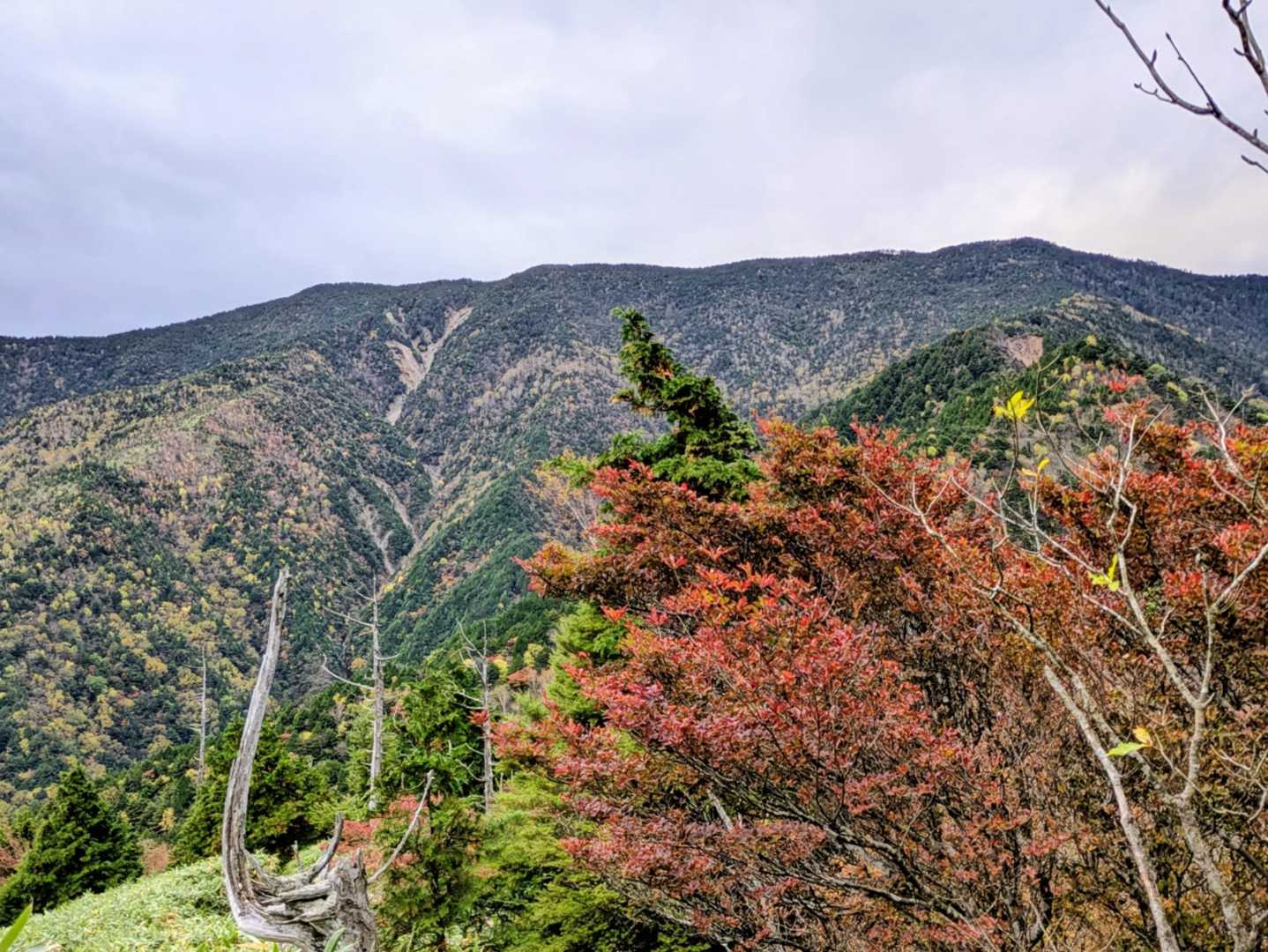 目指す恵那山。山頂が平べったく、船伏山とも呼ばれることに納得