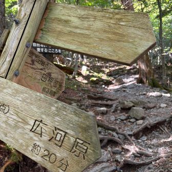 まず３時間の道のりを白根御池へ