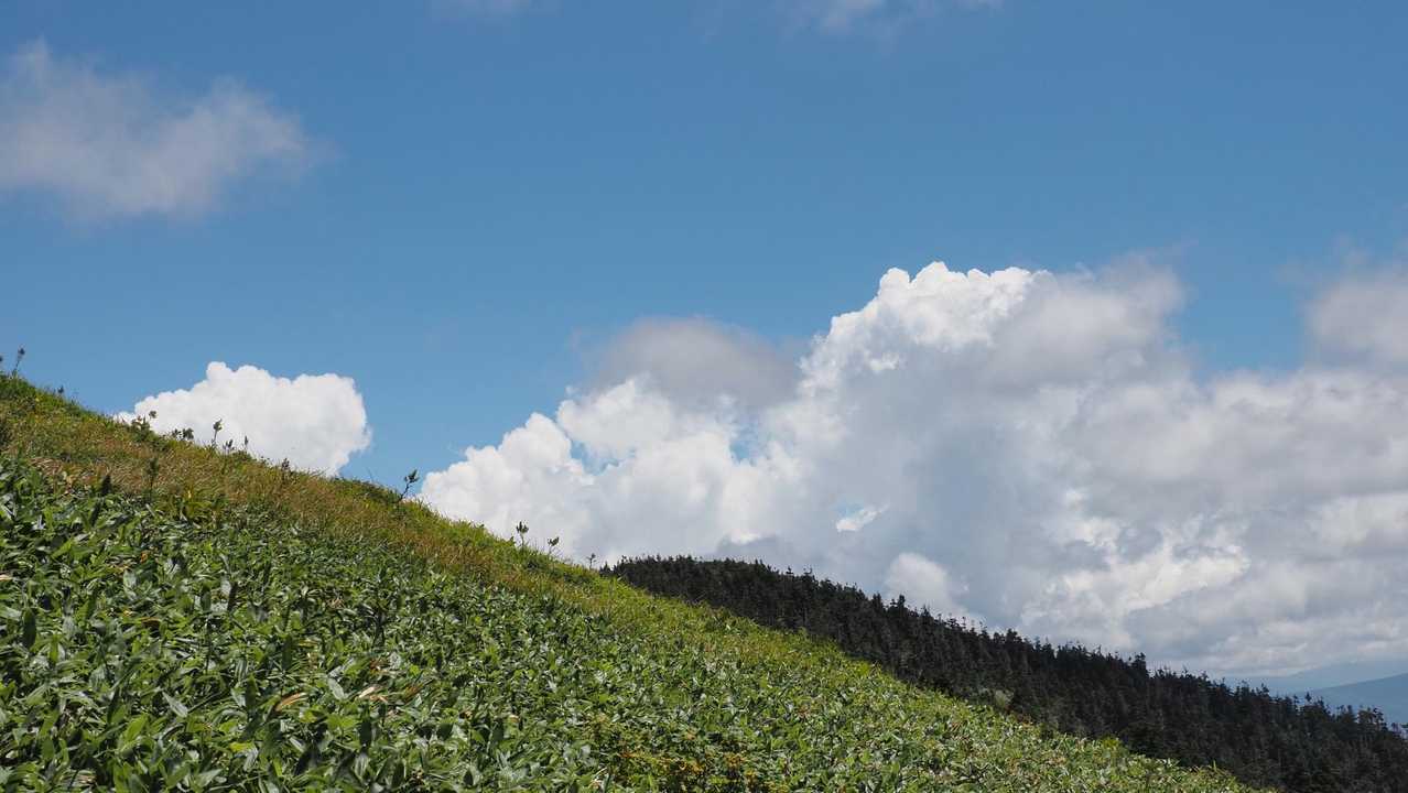 巻機山、夏空の夫婦登山 の写真 31