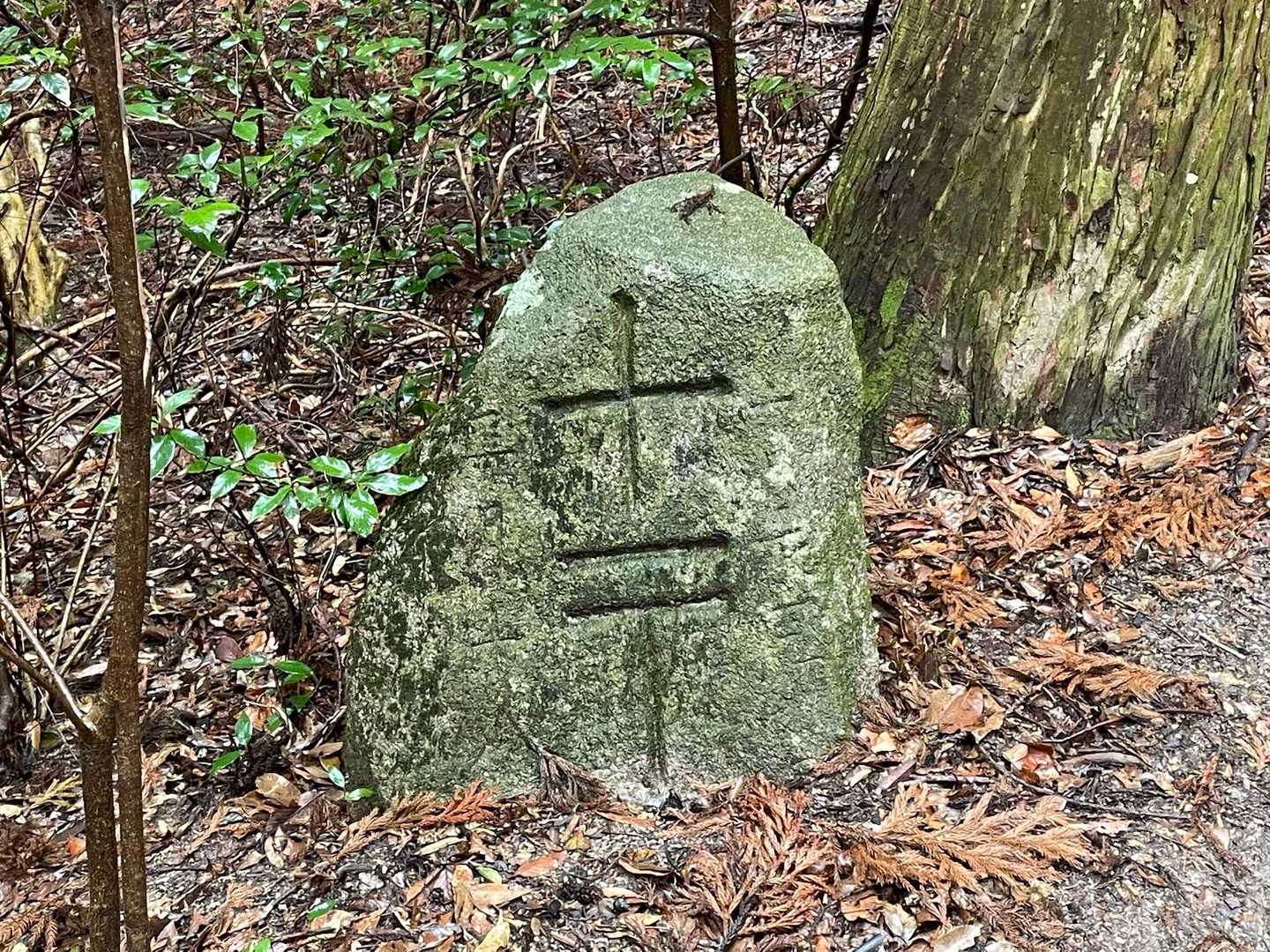 丁石と呼ばれる石の道標

神社から上宮までの登拝道に1丁ごとに設けられ、14丁まであるそうです。写真は11丁の丁石。結局この丁石しか確認できませんでした😅