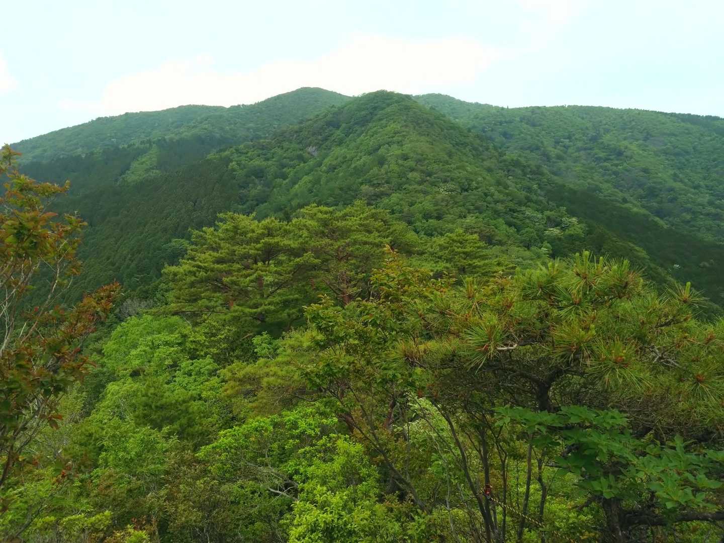 甲山から広戸仙を見上げる
