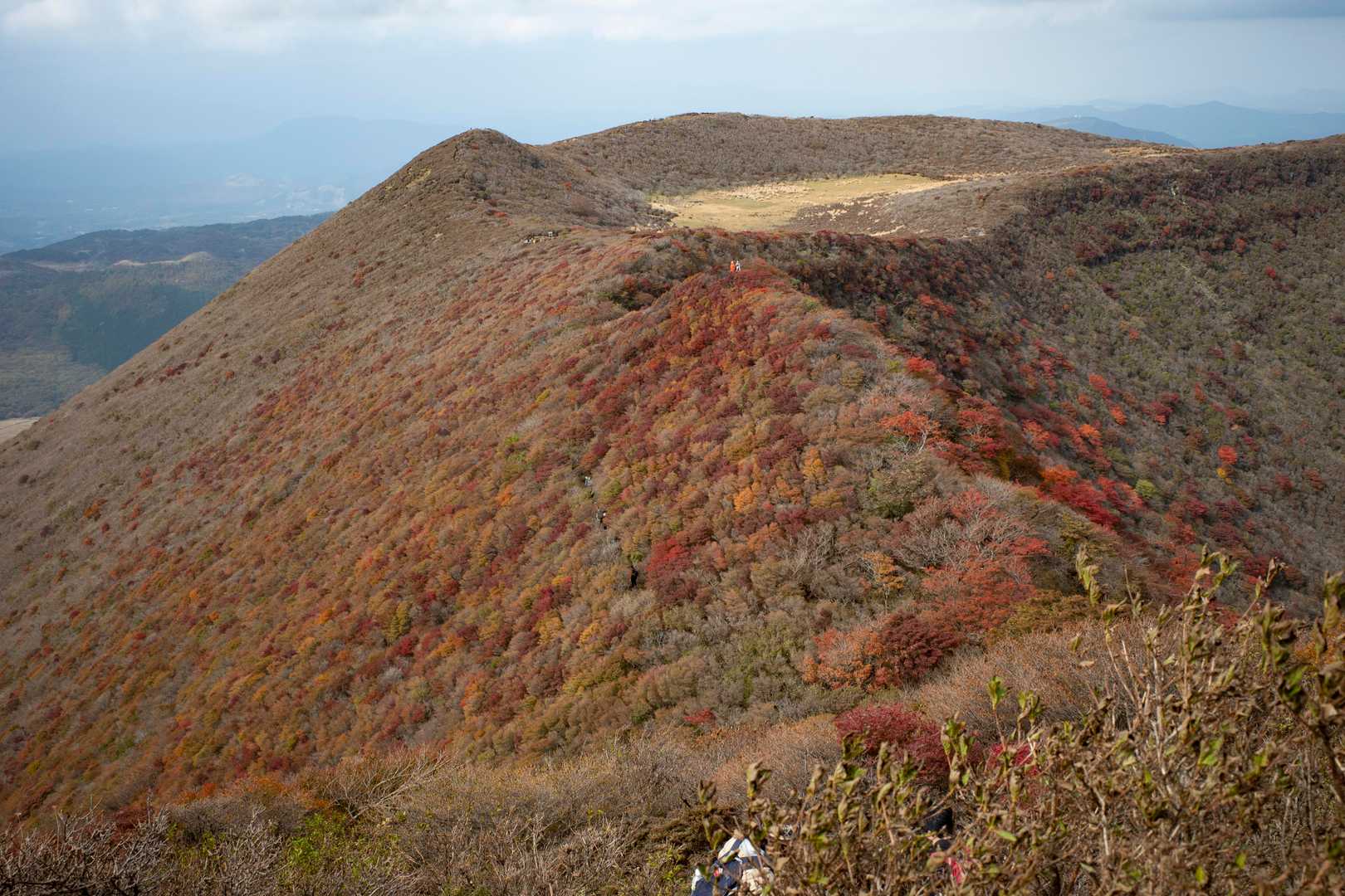 大船山往復 | くじゅう横断。森林・草原・展望をすべて楽しもうの写真