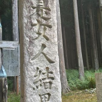 これがあの噂の！