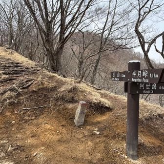 社山は、また次回に