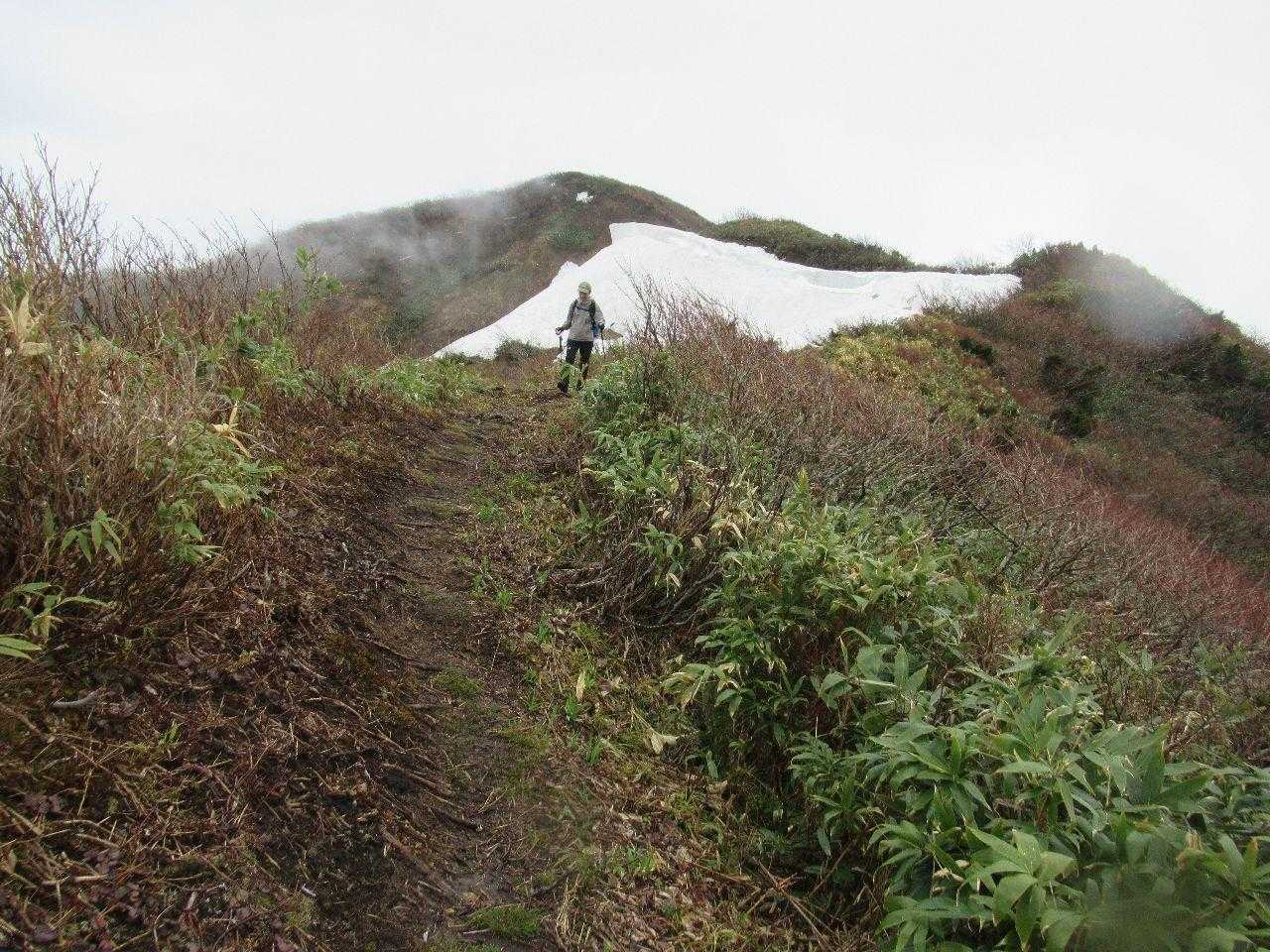 下山サクサク