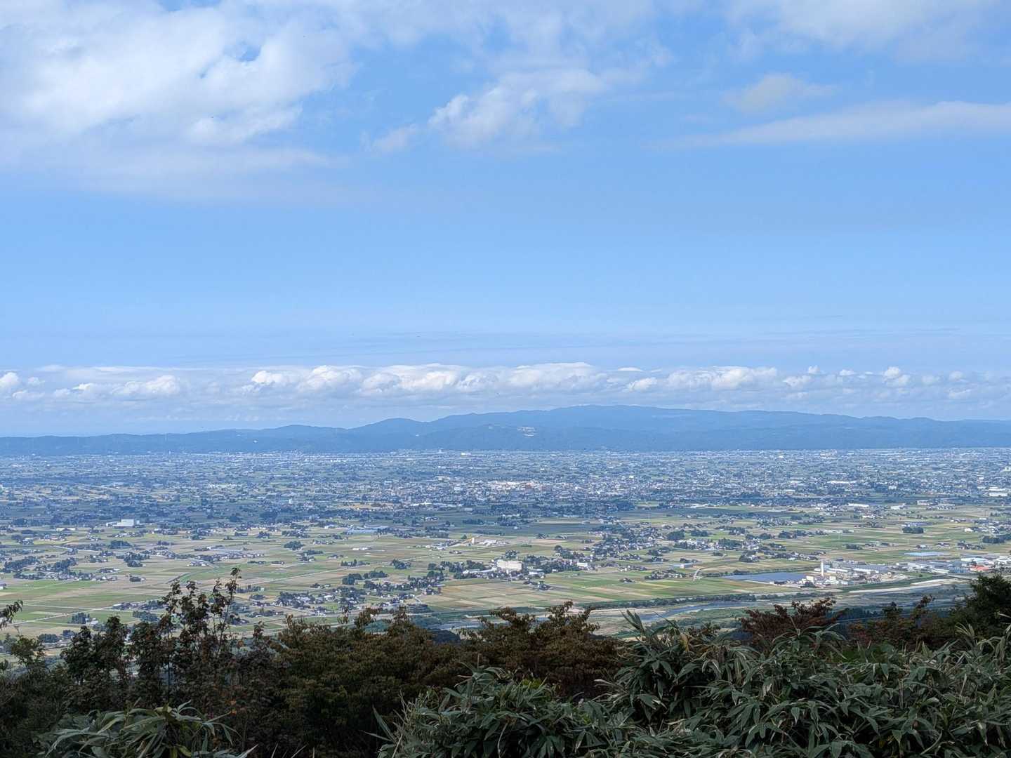 鉢伏山 往復コースの写真
