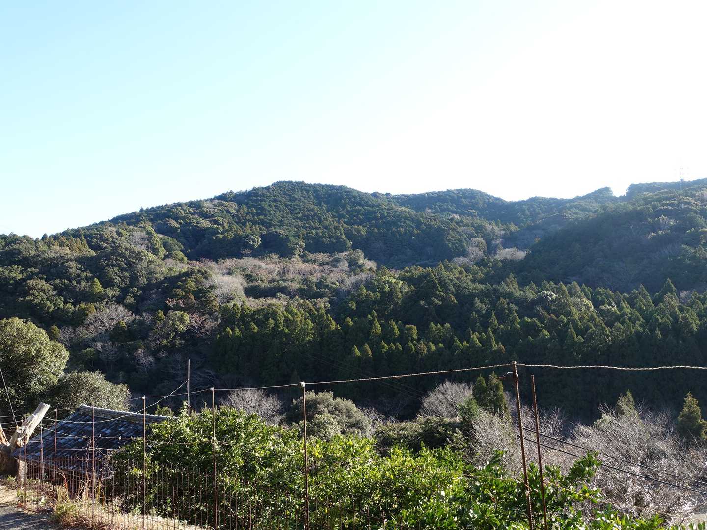 さっき登った馬山🐎⛰️