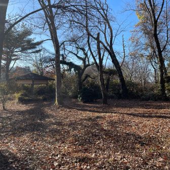 東屋もあり
広場となっています