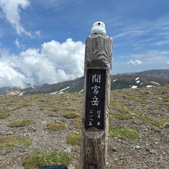 間宮岳とった〜