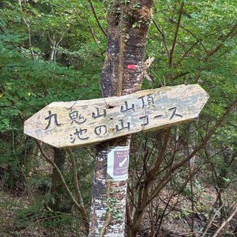 この看板から沢へ降りて