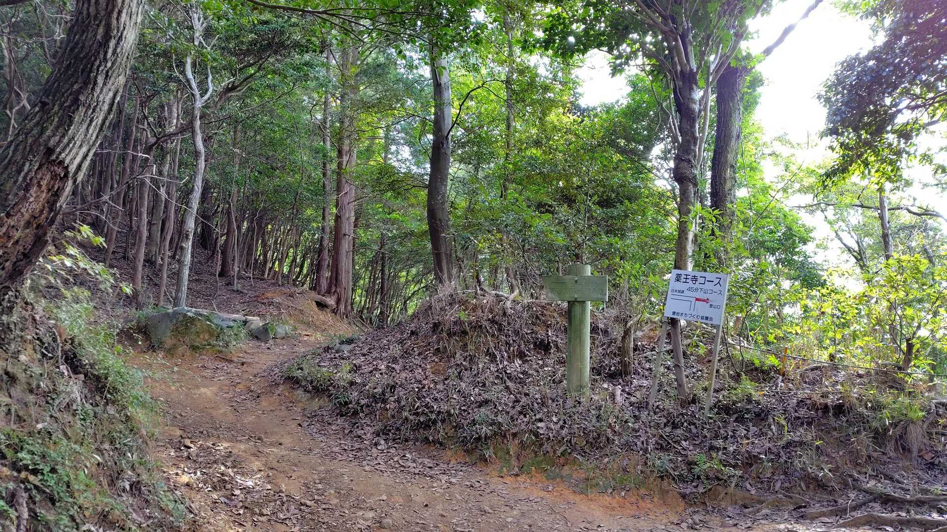 山頂、巻道、薬王寺分岐
