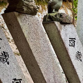 うちらの🐕と🐔もおる

👩　それも並んで！
👨‍🎤　そりゃ1年違いやけん並ぶやろぉ