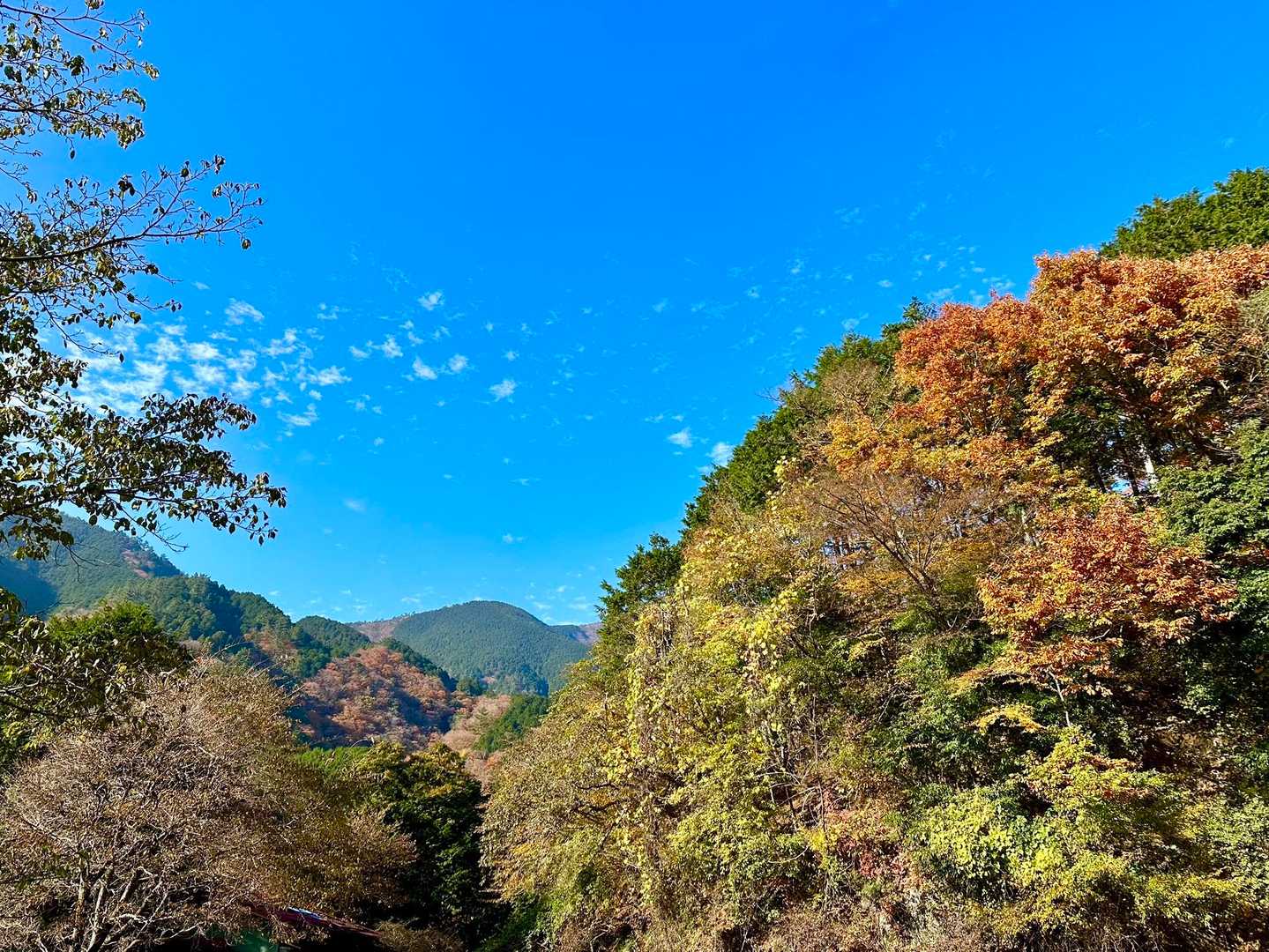 最終的に現れたのは、天高い晩秋の青い空でした😉

塔ノ岳に登られたみなさんが、素敵な富士山を
ご覧になれていますように🙏✨✨

ささやかな願いを叶えてくれそうな青空、
ちょっと嬉しいです☺️