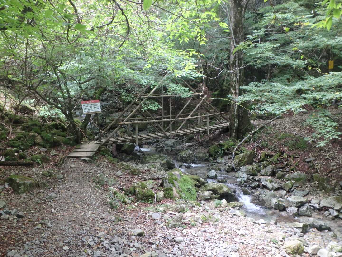 ここまでは沢沿いで平坦
ここから急登💦