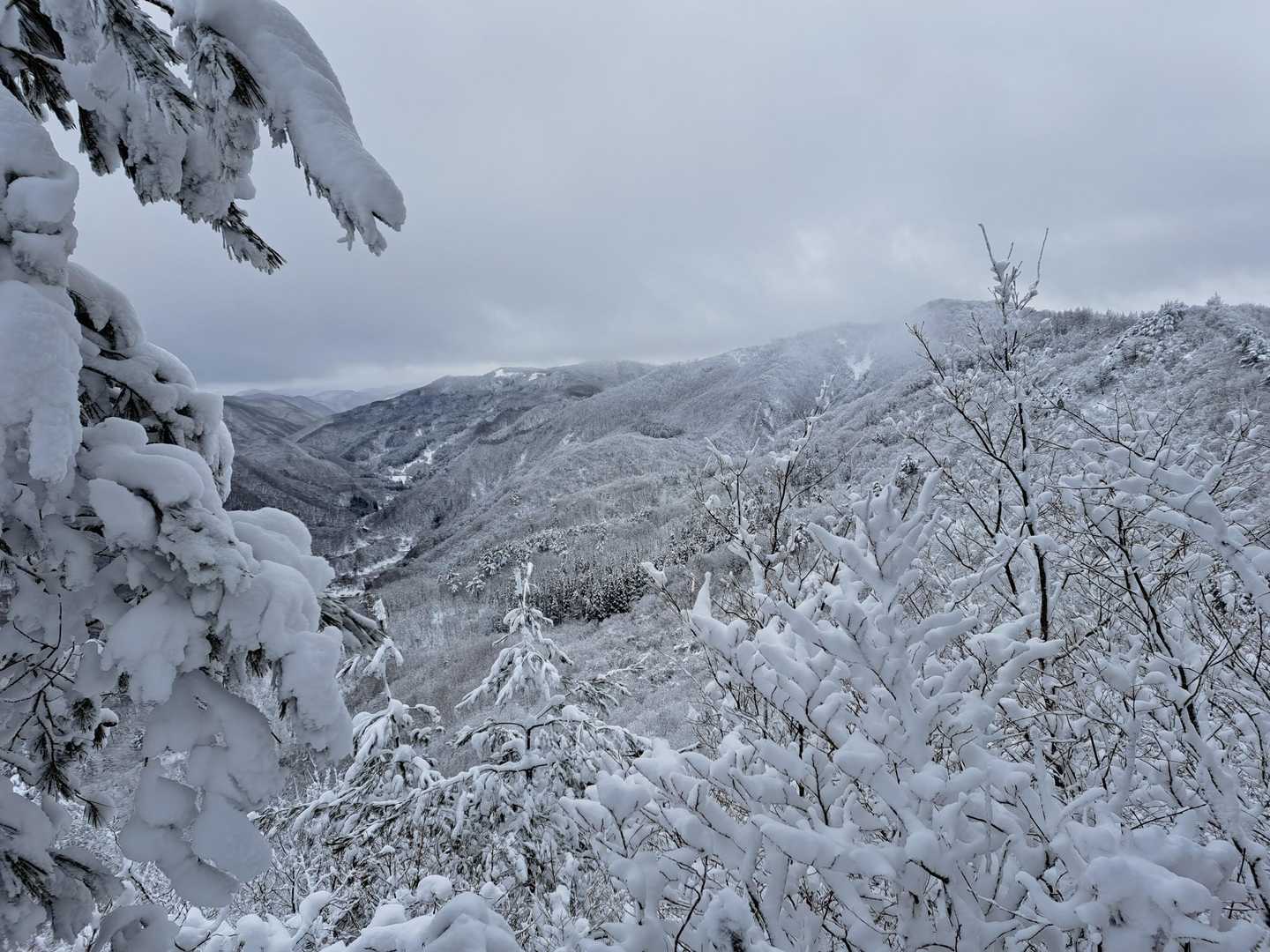 展望台から吹矢山
