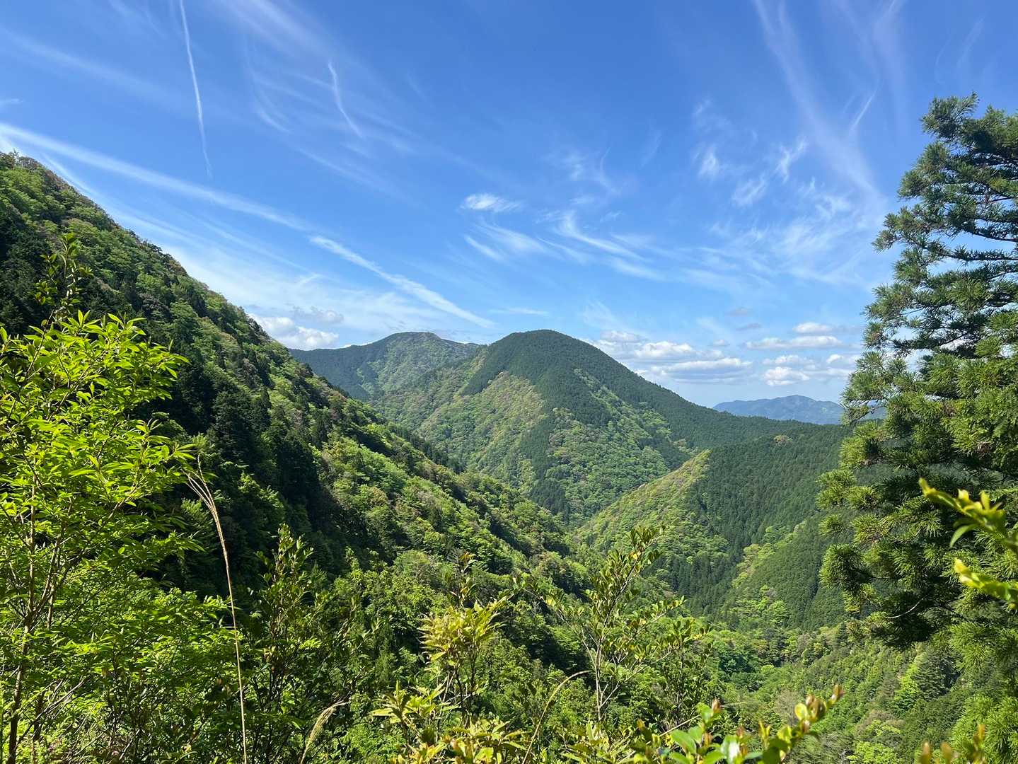 滝尻王子-不寝王子-剣ノ山-高原熊野神社-大門王子-十丈峠 縦走コースの写真
