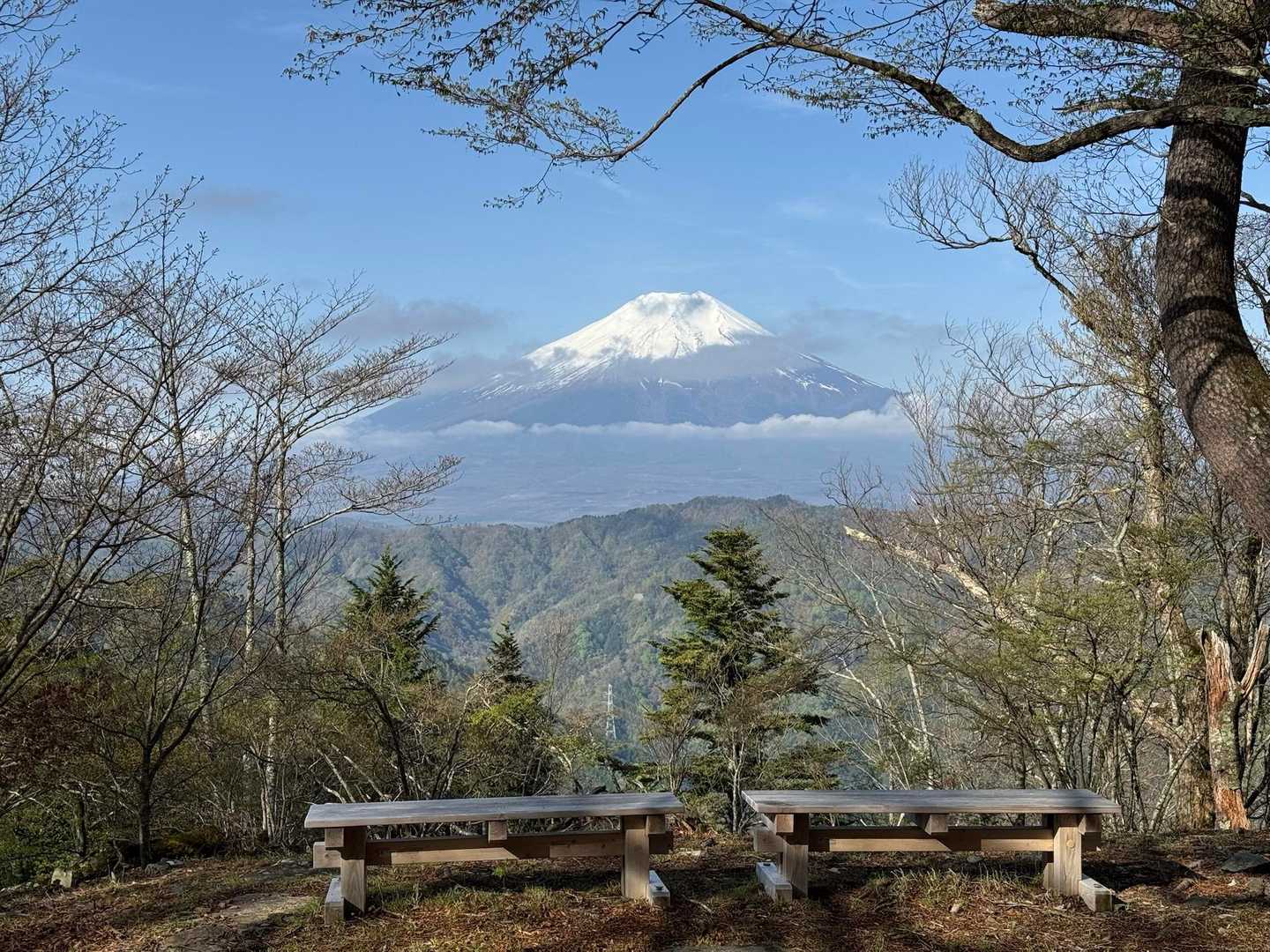 ベンチも置かれています👍
当時の皇太子殿下はここで休憩されたのかも。