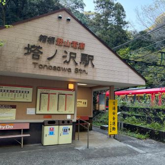 登山鉄道🚞塔ノ沢駅到着
階段を上り、反対側のホームに行きます