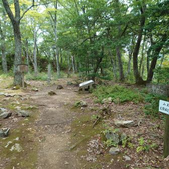 P398が山王丸。