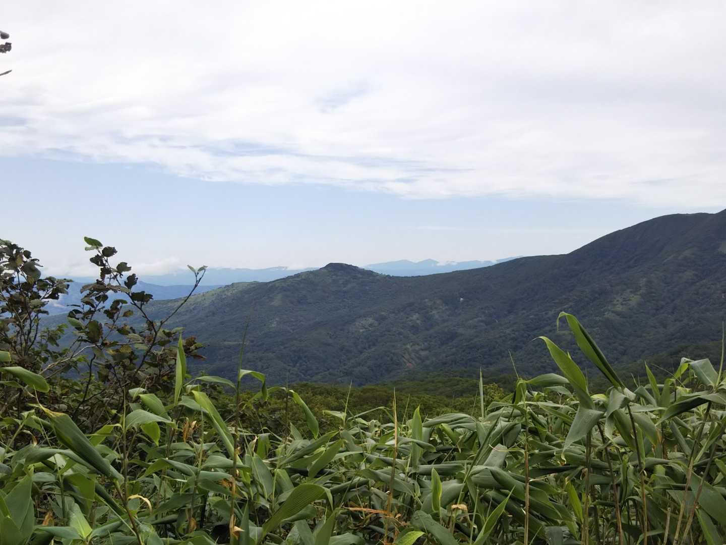 山頂からの展望はないが、登山道からは山並みが美しく展望される。