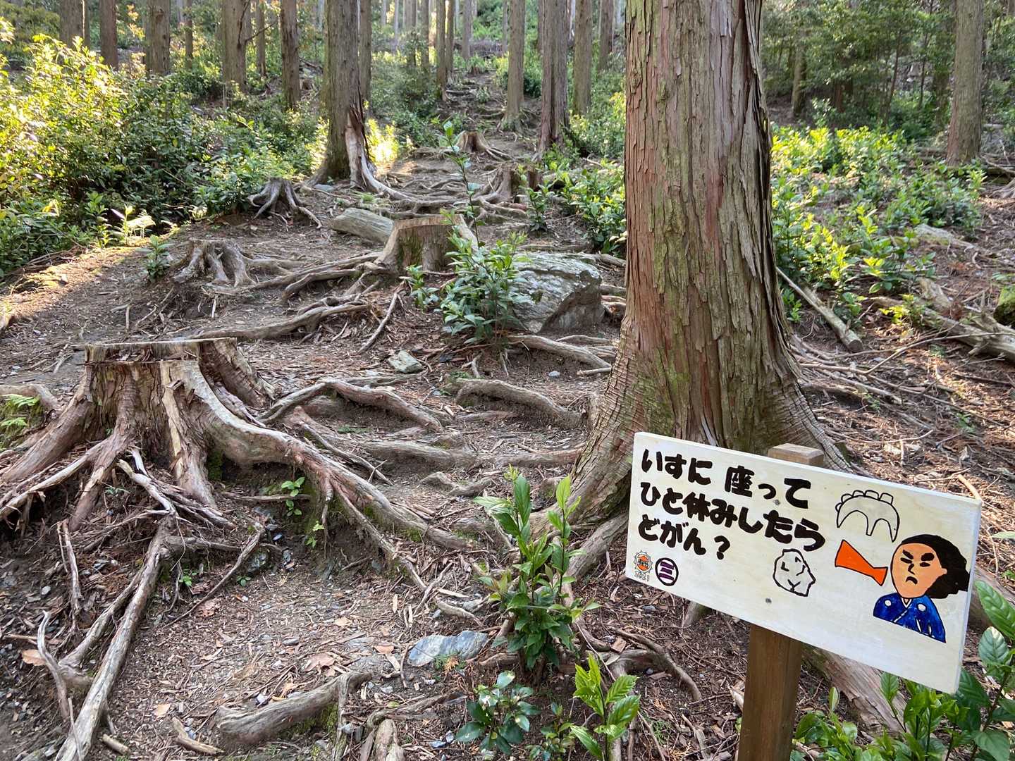 メガホンの上には何がある？