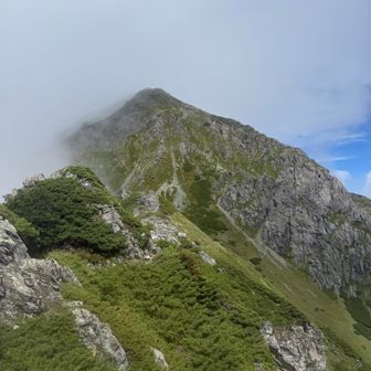 振り返り悪沢岳