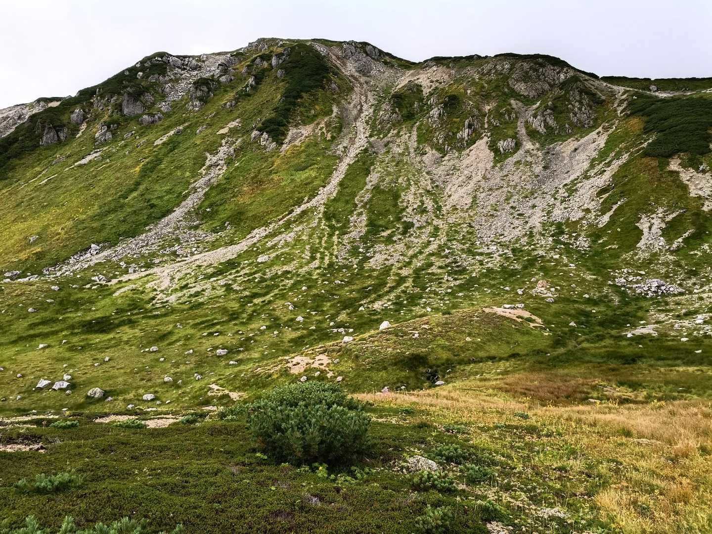 薬師岳登山口-アラスカ庭園-スイス庭園-日本庭園-三俣蓮華 縦走コースの写真