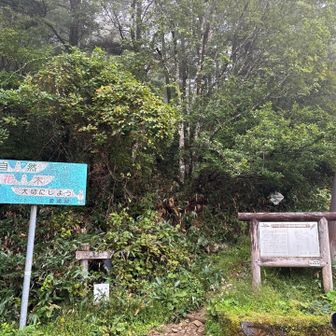 最後まで変わらぬ天気😓
厳しい筒上山
無事下山出来て感謝感謝🙏