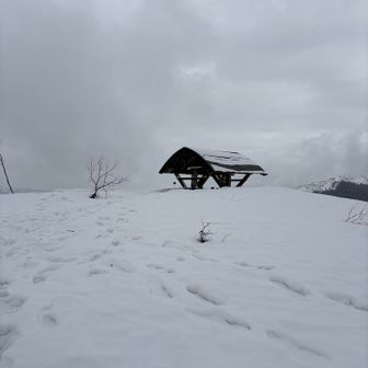 にせピークには東屋が🛖