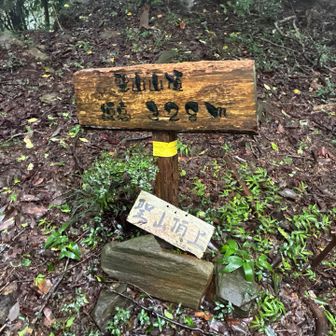 本日最後のピーク、聖山登頂。
往路のピークでの眺望、まったく無し。