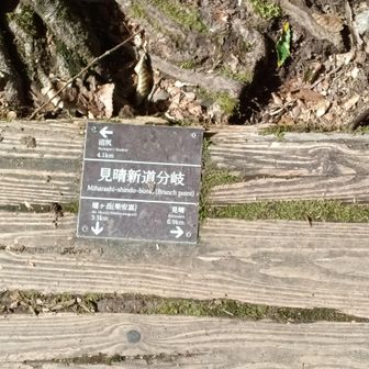 ドロドロ下り道はなかなか難儀でした😖
やっとの事で木道まで到達👣