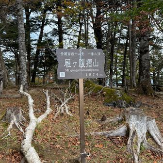 秀麗富嶽十二景の標識＠雁ヶ腹摺山