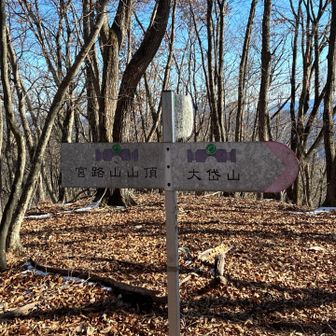 大垈山からここまでは広い尾根です！
落ち葉で道がわかりませんが尾根を外さず行けば時々赤いテープが出てきます！

激下りの前にひと休み！

伐採地は落ち葉と雪で滑りますが楽しい！