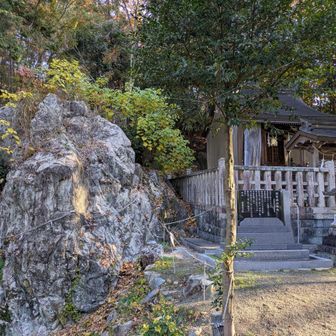 この左手を入る