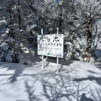 看板はここでした。夏来てないのでわからないですが、ここが池の淵？