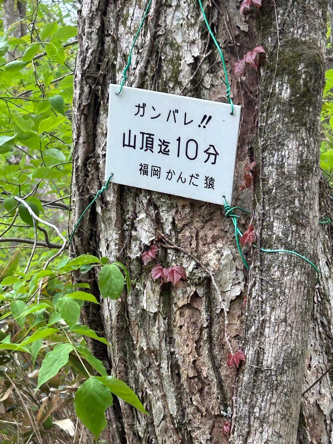 あと10分👍